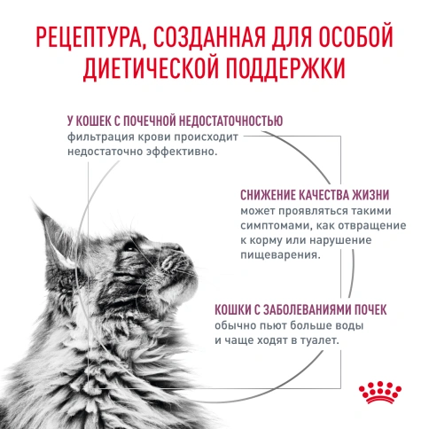 Сухой Корм Royal Canin  RENAL ДИЕТА ДЛЯ КОШЕК ДЛЯ ПОДДЕРЖАНИЯ ФУНКЦИИ ПОЧЕК, 2 кг фото 2
