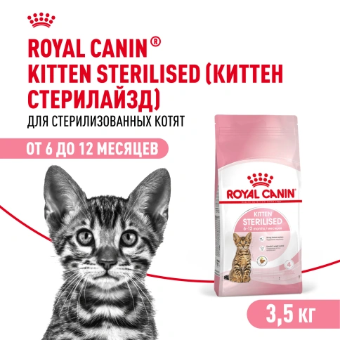 Сухой Корм Royal Canin KITTEN STERILISED (КИТТЕН СТЕРИЛАЙЗД)Питание для стерилизованных котят с момента операции до 12 месяцев, 3.5 кг фото 1