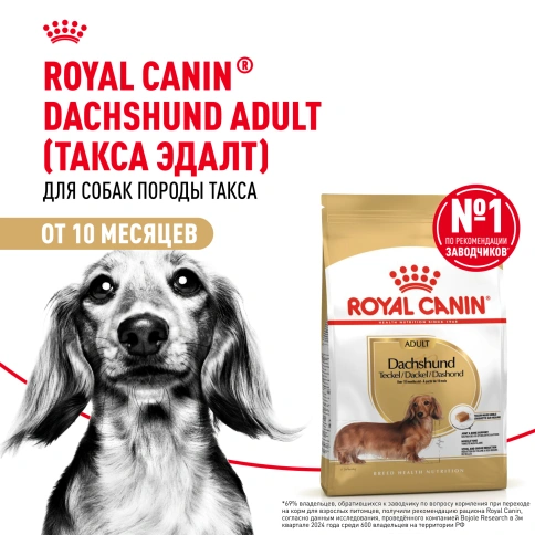 Сухой корм Royal Canin Dachshund Adult для собак породы такса, 1.5 кг фото 13