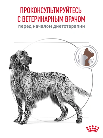 Сухой корм Royal Canin Gastrointestinal для собак, 15 кг фото 21