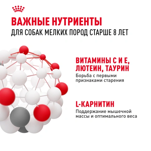 Сухой корм Royal Canin Mini Adult 8+ для пожилых собак, 2 кг фото 4