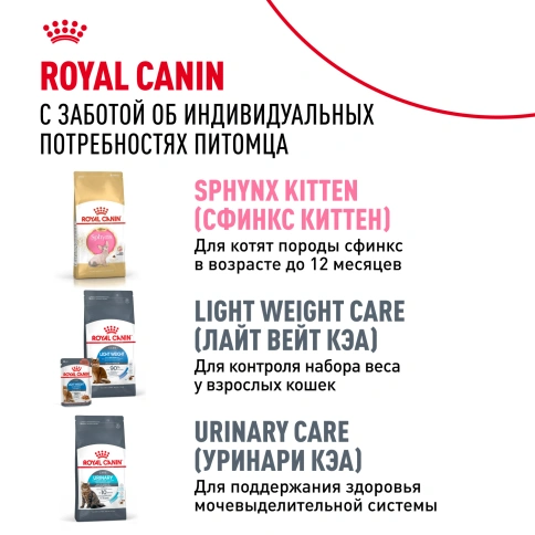 Сухой Корм Royal Canin SPHYNX (СФИНКС)Специальное питание для кошек породы сфинкс в возрасте от 1 года и старше, 2 кг фото 10