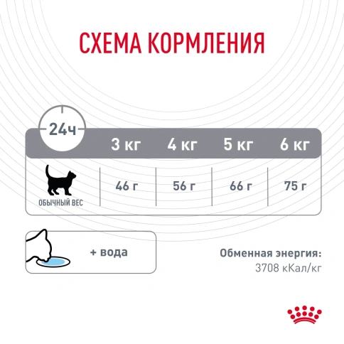 Сухой корм Royal Canin Oral Care для кошек для уменьшения образования зубного камня, 400 г фото 9