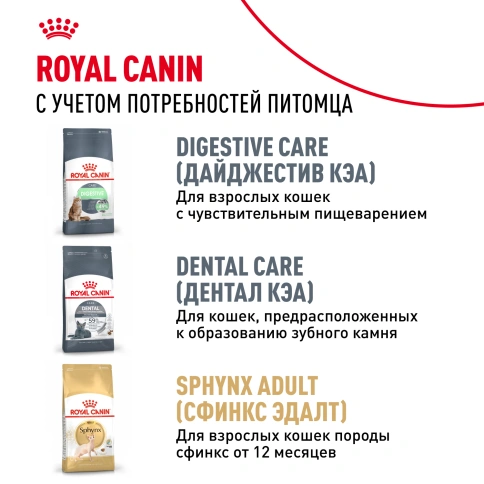 Сухой Корм Royal Canin KITTEN SPHYNX (КИТТЕН СФИНКС) Birth & GrowthСпециальное питание для кошек породы сфинкс в возрасте от 4  до 12 месяцев, 2 кг фото 10