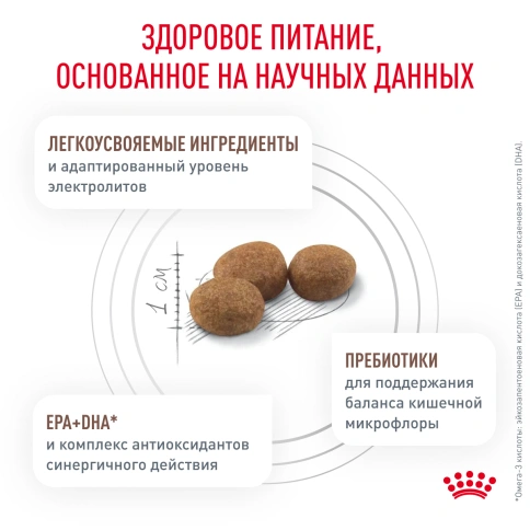 Сухой корм Royal Canin Gastrointestinal Low Fat Small Dogs для собак, 1.5 кг фото 4