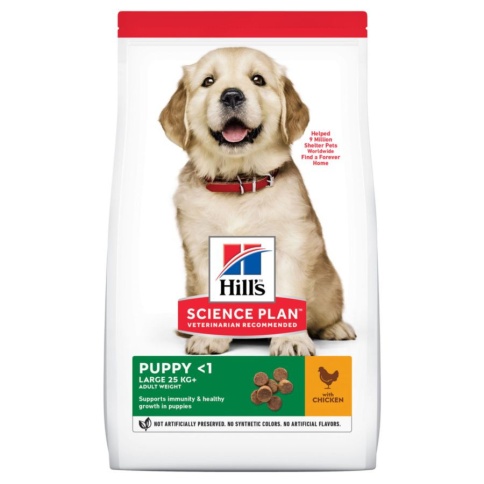 Hills Puppy Large сухой корм для щенков крупных пород с курицей - 2,5кг фото 1