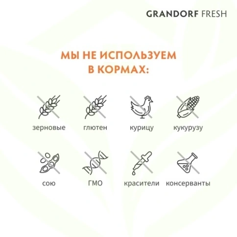 Сухой корм Grandorf Fresh ягненок с бататом беззерновой для юниоров и беременных собак, 3 кг фото 14