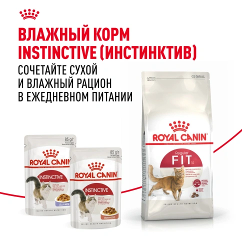 Сухой Корм Royal Canin FIT (ФИТ)Питание для кошек с умеренной активностью, имеющих доступ на улицу, в возрасте от 1 года до 7 лет, 4 кг фото 8