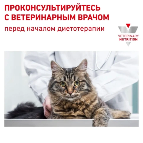 Диетический сухой корм Royal Canin Mobility для кошек при заболеваниях опорно-двигательного аппарата, 2 кг фото 9