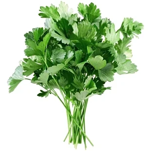 Петрушка пучок фото 1