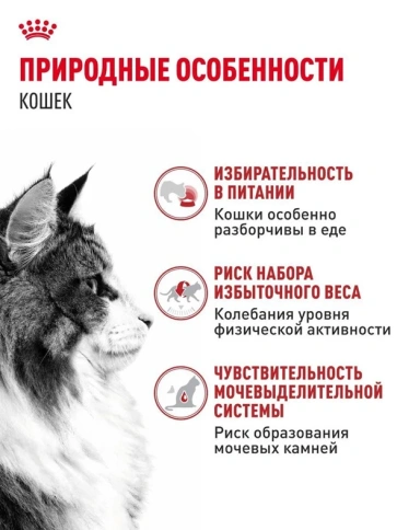 Влажный корм Royal Canin Instinctive в соусе для взрослых кошек, пауч, 85 г х 28 шт фото 2