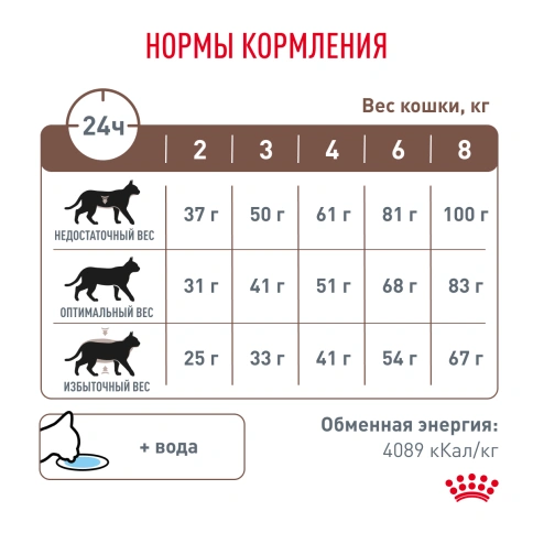 Сухой Корм Royal Canin  GASTROINTESTINAL ДИЕТА ДЛЯ КОШЕК ПРИ РАССТРОЙСТВАХ ПИЩЕВАРЕНИЯ, 2 кг фото 6