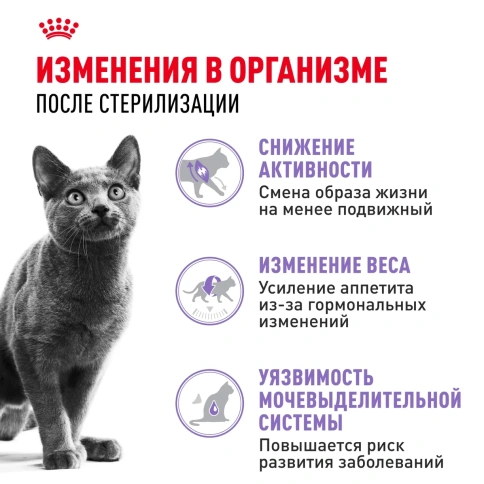 Сухой корм Royal Canin Sterilised 37 для стерилизованных кошек и кастрированных котов, 4 кг фото 3