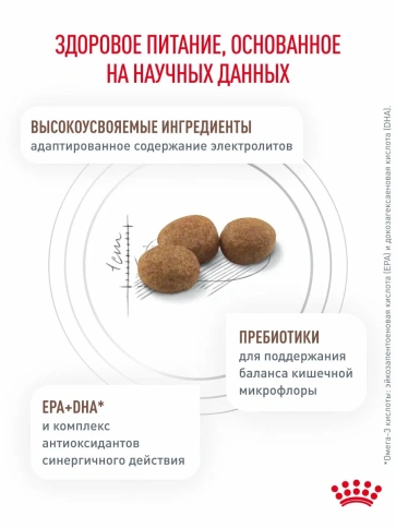 Сухой диетический корм Royal Canin Gastrointestinal Hairball для взрослых кошек, при волосяных комочках и нарушениях пищеварения, 350 г фото 3