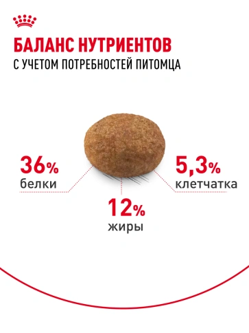 Сухой Корм Royal Canin STERILISED 7+ (СТЕРИЛАЙЗД 7+)Питание, способствующее поддержанию оптимального веса, для стерилизованных кошек и кастрированных котов в возрасте старше 7 лет фото 17
