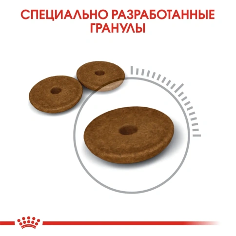 Сухой корм Royal Canin Digestive Care для взрослых кошек с чувствительным пищеварением, 2 кг фото 4