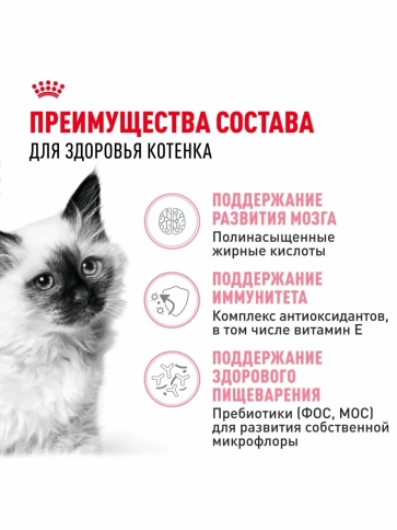 Сухой корм Royal Canin Kitten для котят от 4 до 12 месяцев, с птицей, 10 кг фото 3