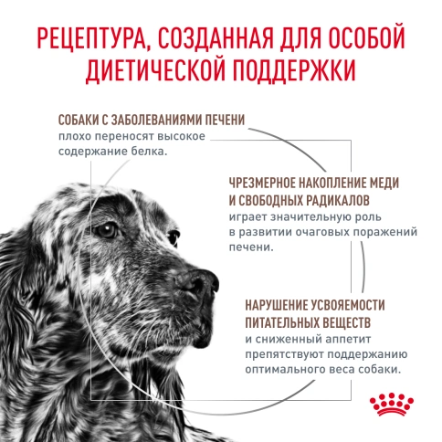 Сухой корм Royal Canin Hepatic для собак, 6 кг фото 3