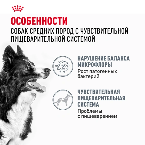 Сухой корм Royal Canin Medium Digestive Care для собак, 12 кг фото 2