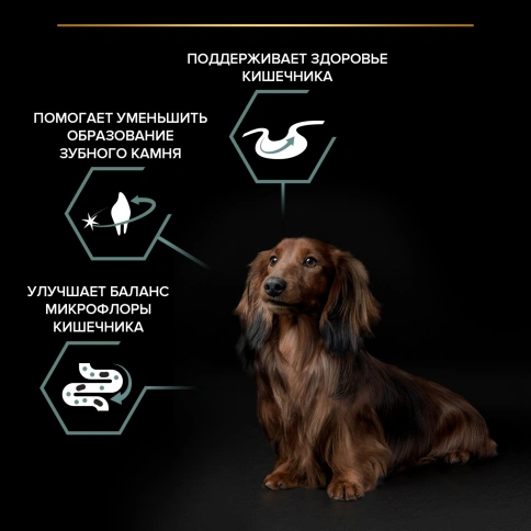 Сухой корм Purina Pro Plan Adult Small & Mini Sensitive Digestion для собак мелких пород, ягнёнок и рис, 2.5 кг + 500 г фото 3