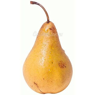 Груша фото 1