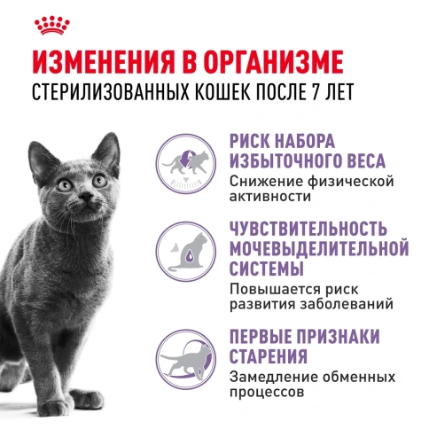 Сухой корм Royal Canin Sterilised 7+ для стерилизованных кошек и кастрированных котов старше 7 лет, 1,5 кг фото 3