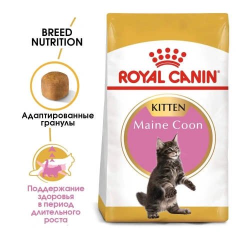 Сухой корм Royal Canin Maine Coon Kitten для котят породы мейн-кун, 400 г фото 3