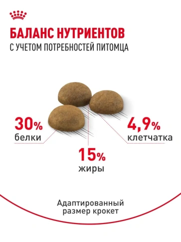 Сухой корм Royal Canin Indoor Long Hair для длинношерстных кошек, живущих в помещении, 10 кг фото 4