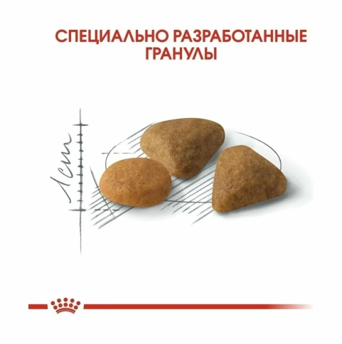 Сухой корм Royal Canin Exigent 35/30 Savour Sensation для взрослых привередливых кошек, 2 кг фото 5