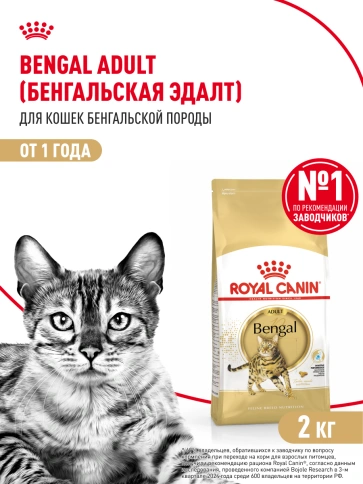 Сухой Корм Royal Canin BENGAL (БЕНГАЛ)Специальное питание для кошек бенгальской породы, в возрасте от 1 года и старше, 2 кг фото 14