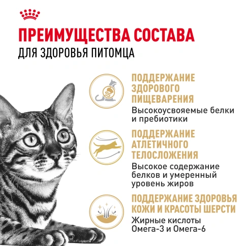 Сухой Корм Royal Canin BENGAL (БЕНГАЛ)Специальное питание для кошек бенгальской породы, в возрасте от 1 года и старше, 2 кг фото 3