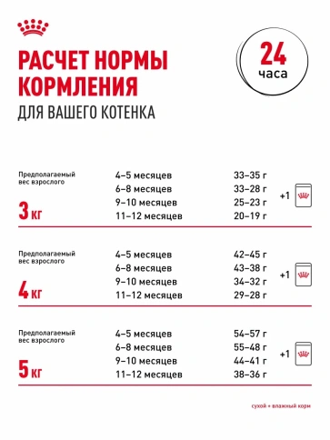 Сухой корм Royal Canin Sphynx Kitten для котят породы сфинкс до 12 месяцев, 400 г фото 9