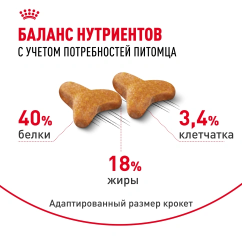 Сухой Корм Royal Canin BENGAL (БЕНГАЛ)Специальное питание для кошек бенгальской породы, в возрасте от 1 года и старше, 2 кг фото 4