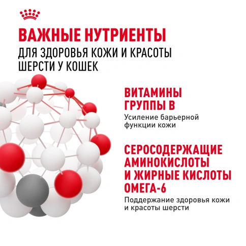 Влажный корм Royal Canin Hair & Skin Care в соусе для взрослых кошек старше 1 года, пауч, 85 г фото 6