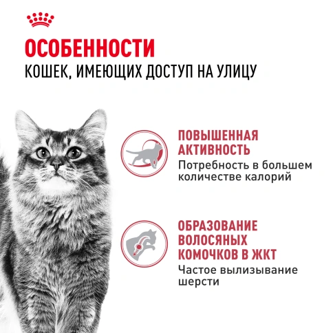 Сухой Корм Royal Canin FIT (ФИТ)Питание для кошек с умеренной активностью, имеющих доступ на улицу, в возрасте от 1 года до 7 лет, 2 кг фото 3