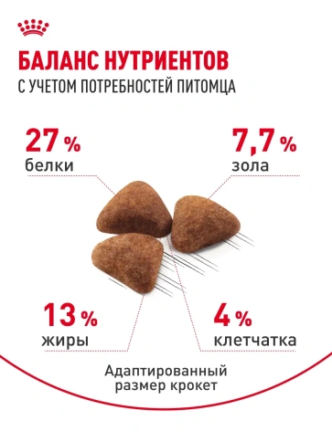 Сухой корм Royal Canin Indoor для взрослых кошек, живущих в помещении, 10 кг фото 4