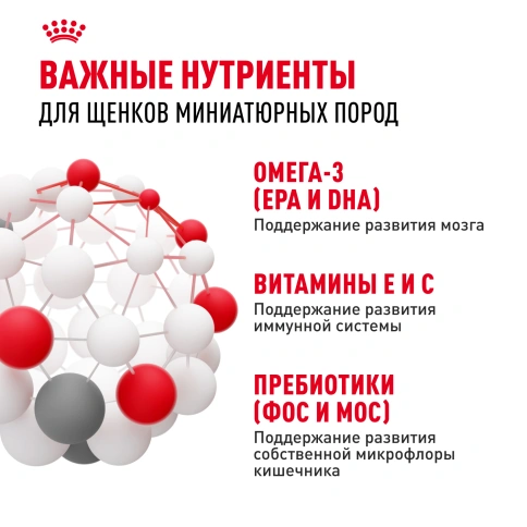 Сухой корм Royal Canin X-Small Puppy для щенков, 1.5 кг фото 6
