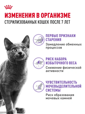 Сухой Корм Royal Canin STERILISED 7+ (СТЕРИЛАЙЗД 7+)Питание, способствующее поддержанию оптимального веса, для стерилизованных кошек и кастрированных котов в возрасте старше 7 лет фото 15