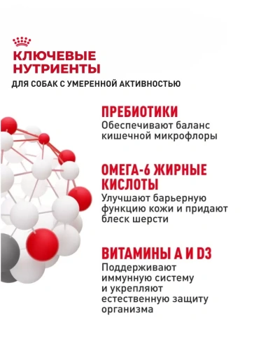 Сухой корм Royal Canin Club Adult CC для взрослых собак, 20 кг фото 4