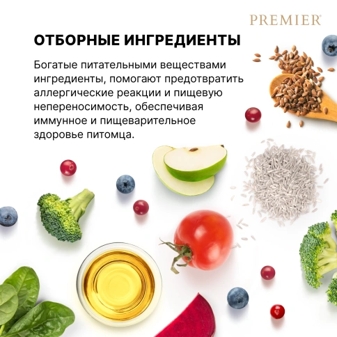 Сухой корм Premier Cat Salmon & Turkey Adult для взрослых кошек, 2 кг фото 7
