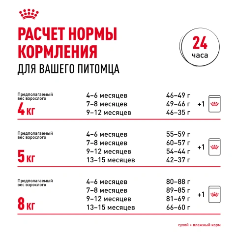Сухой Корм Royal Canin KITTEN MAINE COON (КИТТЕН МЕЙН-КУН) Birth &amp; GrowthСпециальное питание для котят породы мейн-кун, а также для сибирских, норвежских лесных и других крупныхполудлинношерстных котят в возрасте от 3 до 15 месяцев фото 9