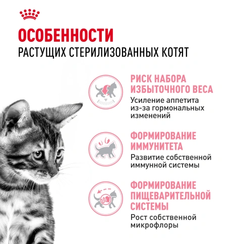 Сухой Корм Royal Canin  KITTEN STERILISED (КИТТЕН СТЕРИЛАЙЗД)Питание для стерилизованных котят с момента операции до 12 месяцев, 2 кг фото 2