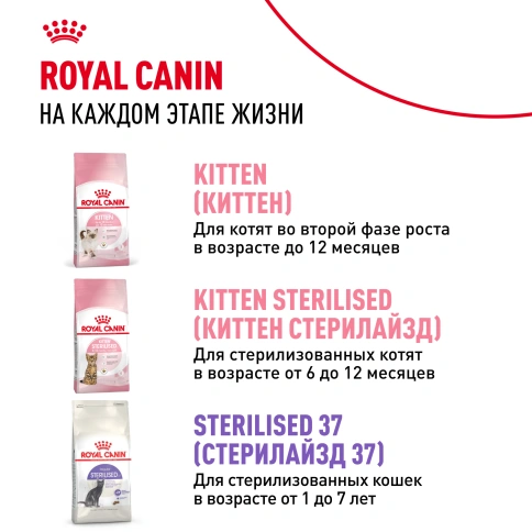 Сухой Корм Royal Canin KITTEN STERILISED (КИТТЕН СТЕРИЛАЙЗД)Питание для стерилизованных котят с момента операции до 12 месяцев, 3.5 кг фото 9