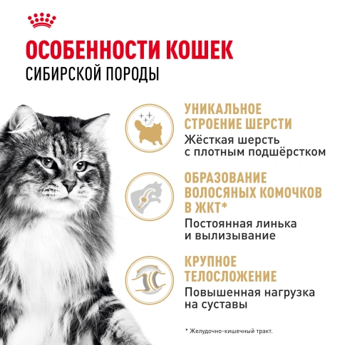 Сухой Корм Royal Canin SIBERIAN (САЙБЕРИАН)Специальное питание для кошек сибирской породы, в возрасте от 1 года и старше, 2 кг фото 2