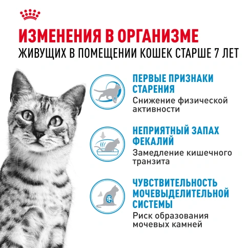 Сухой Корм Royal Canin INDOOR 7+ (ИНДОР 7+)Питание для кошек старше 7 лет, живущих в помещении, помогает бороться с первыми признаками старения, 3 кг фото 5