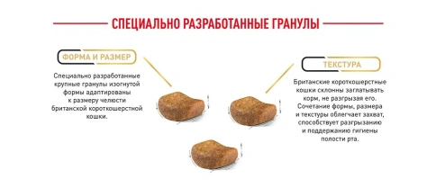 Сухой Корм Royal Canin BRITISH SHORTHAIR (БРИТИШ ШОРТХЭЙР)Специальное питание для кошек породы британская короткошерстная, а также для кошек породы шотландская вислоухая в возрасте от 1 года и старше, 2 кг фото 19