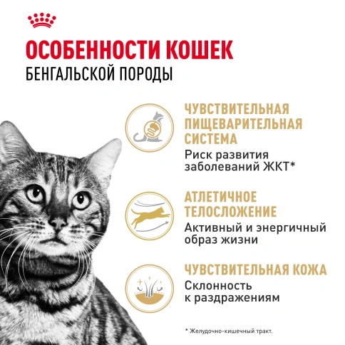 Сухой Корм Royal Canin BENGAL (БЕНГАЛ)Специальное питание для кошек бенгальской породы, в возрасте от 1 года и старше, 2 кг фото 2