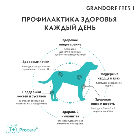 Сухой корм Grandorf Fresh Dog для взрослых собак крупных пород чувствительное пищеварение или склонность к аллергии ягненок с бататом 10 кг фото 4