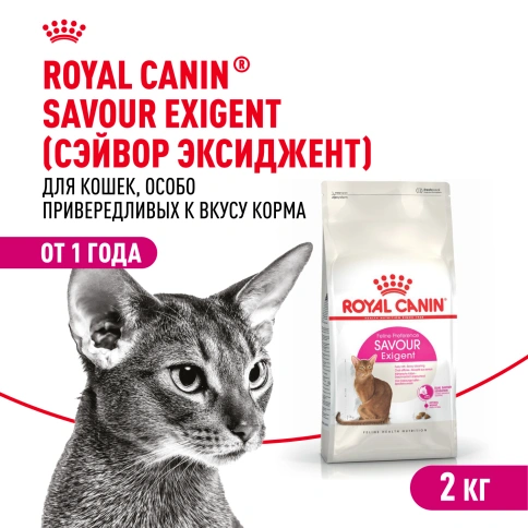 Сухой Корм Royal Canin SAVOUR EXIGENT (СЕЙВОР ЭКСИДЖЕНТ)Питание для кошек в возрасте от 1 года до 12 лет, особенно привередливых ко вкусу продукта, 2 кг фото 1