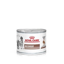Royal Canin Recovery Canine - 195 г фото 1